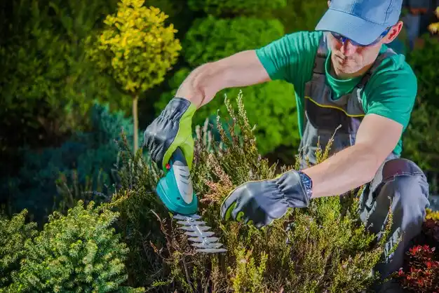 landscaping services Seymour